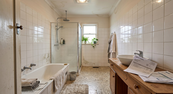 The bathroom is leaking and moldy